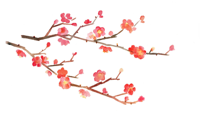春の訪れを知らせてくれる花 梅 公益財団法人静岡県グリーンバンク