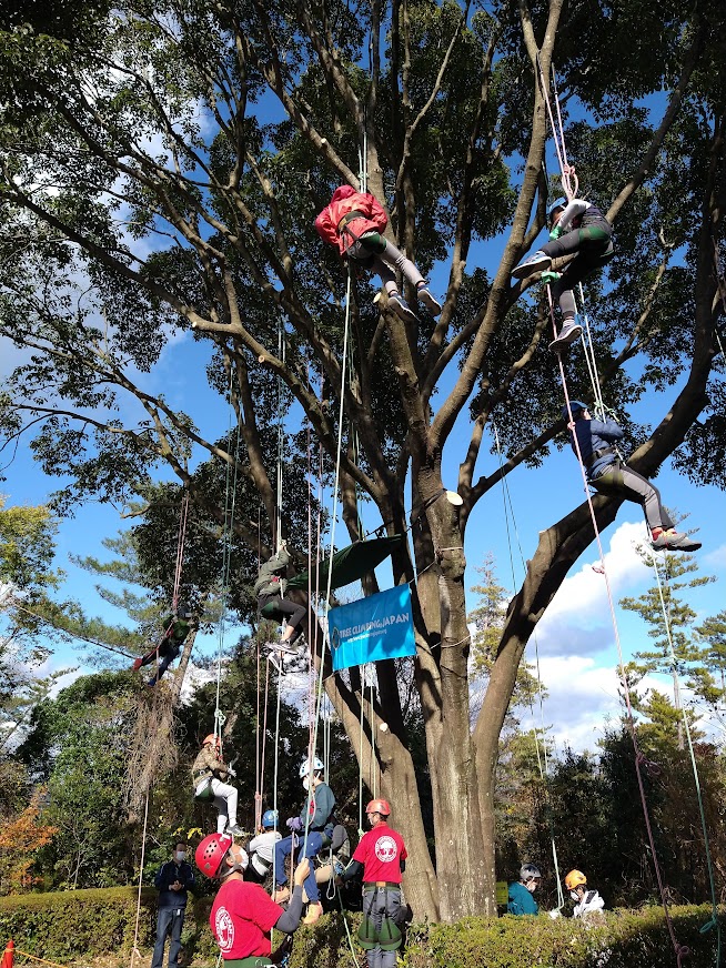 木登りしよう～ツリークライミング体験