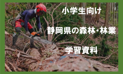 小学生向け 静岡県の森林・林業 学習資料