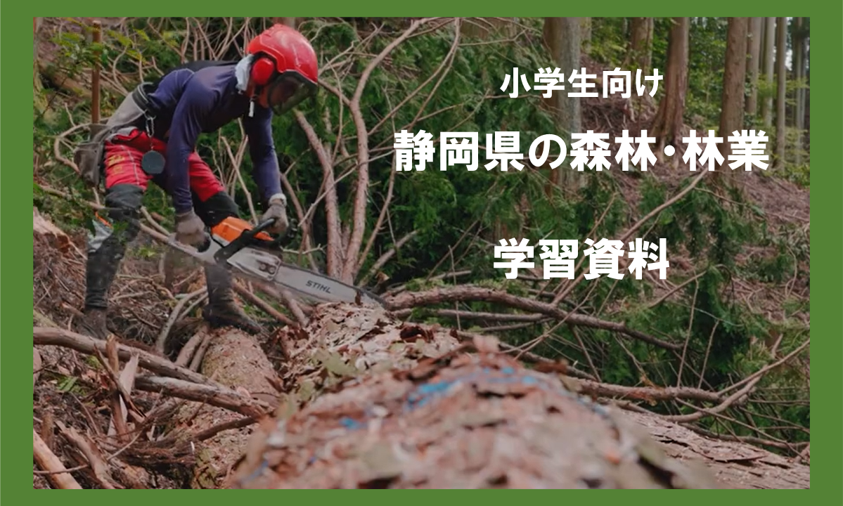 小学生向け 静岡県の森林・林業学習資料