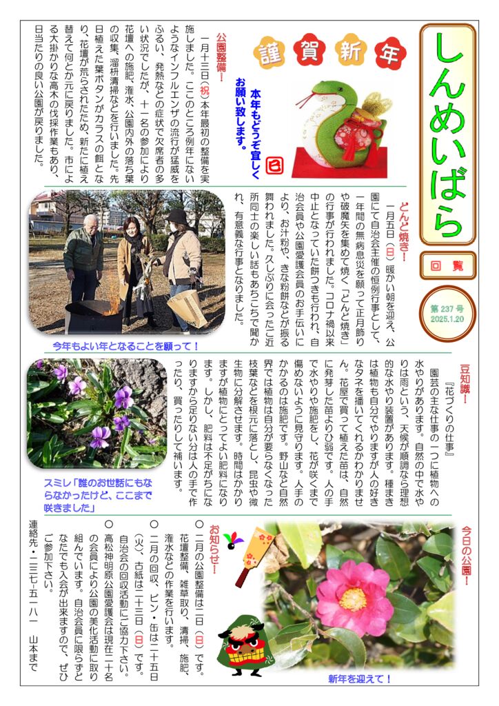 しんめいばら 第237号