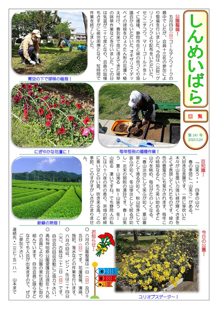 しんめいばら 第241号