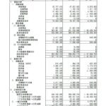 令和6年度貸借対照表