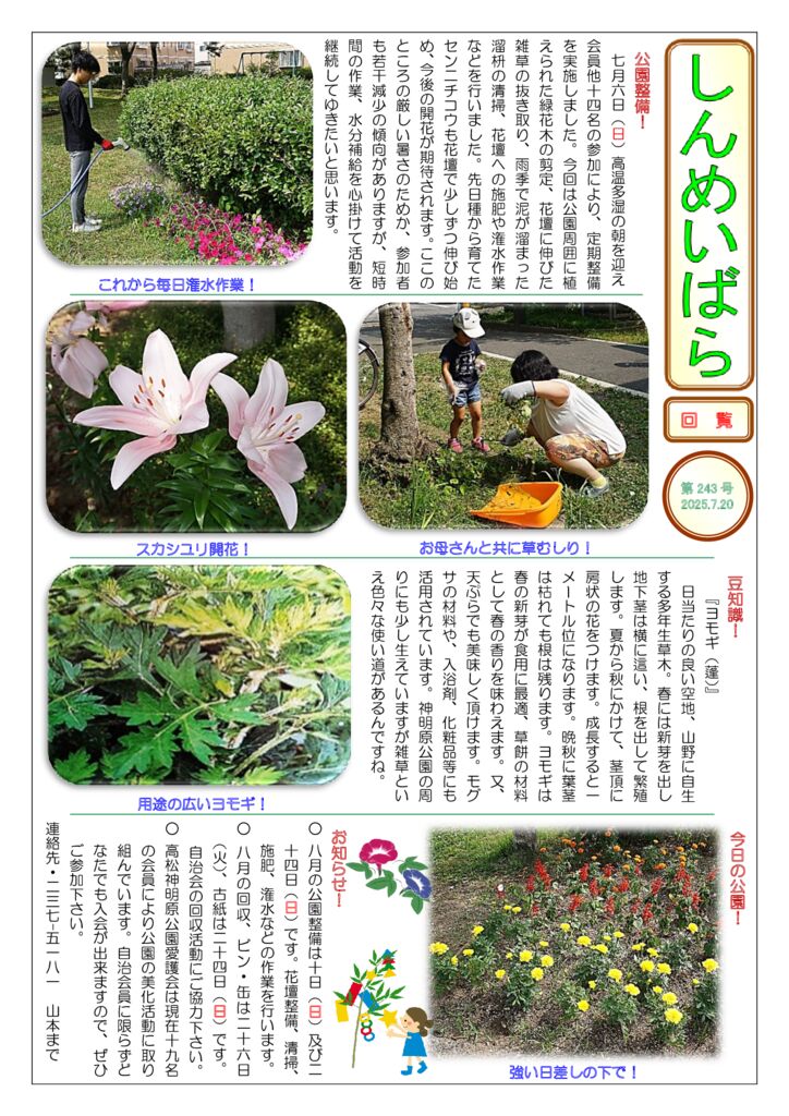 しんめいばら243号