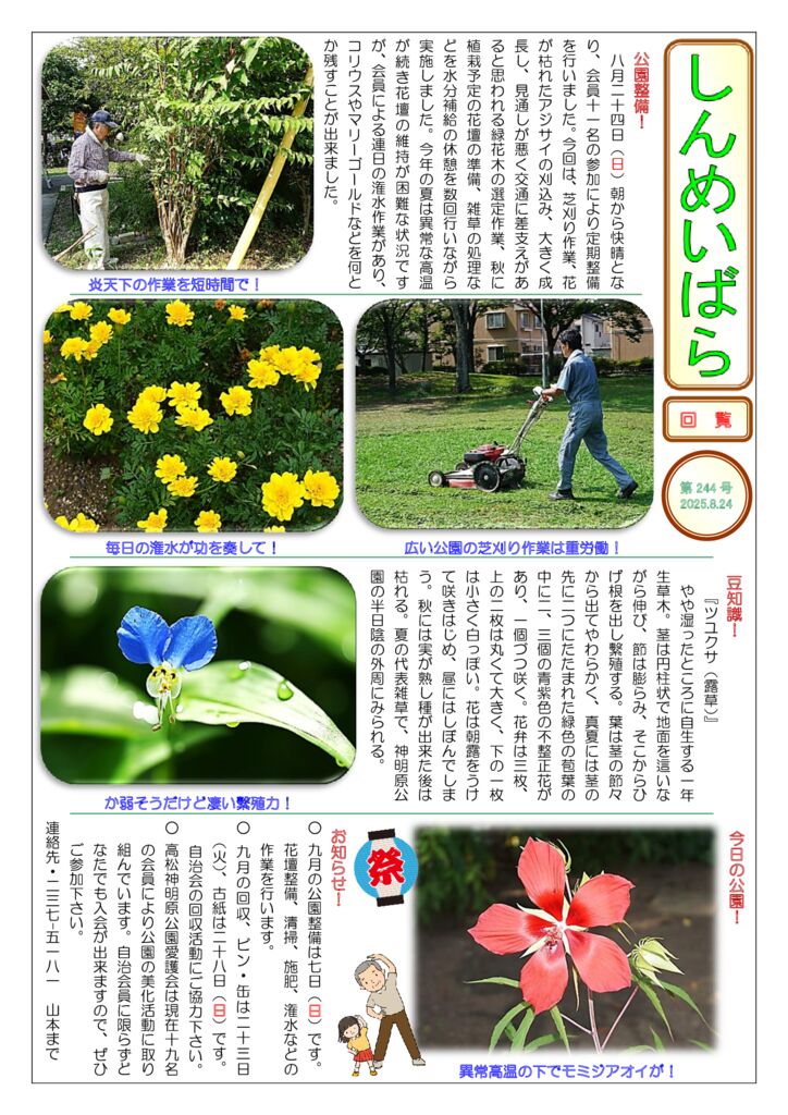しんめいばら244号