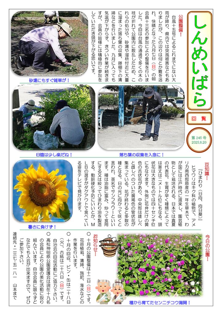 しんめいばら245号