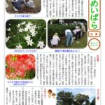 しんめいばら246号