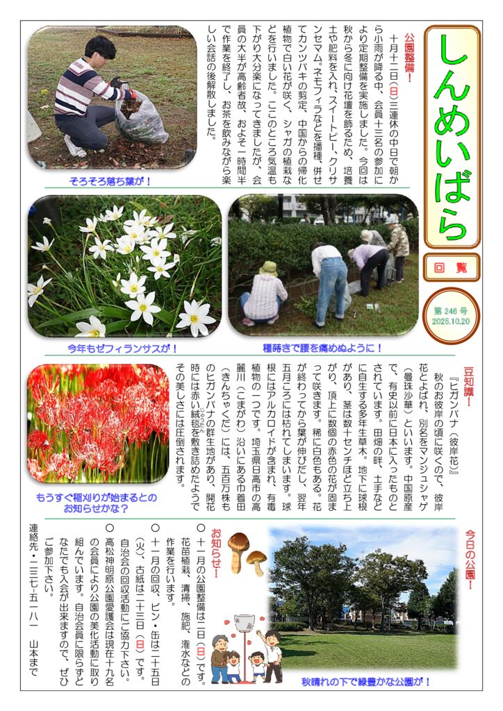 しんめいばら246号
