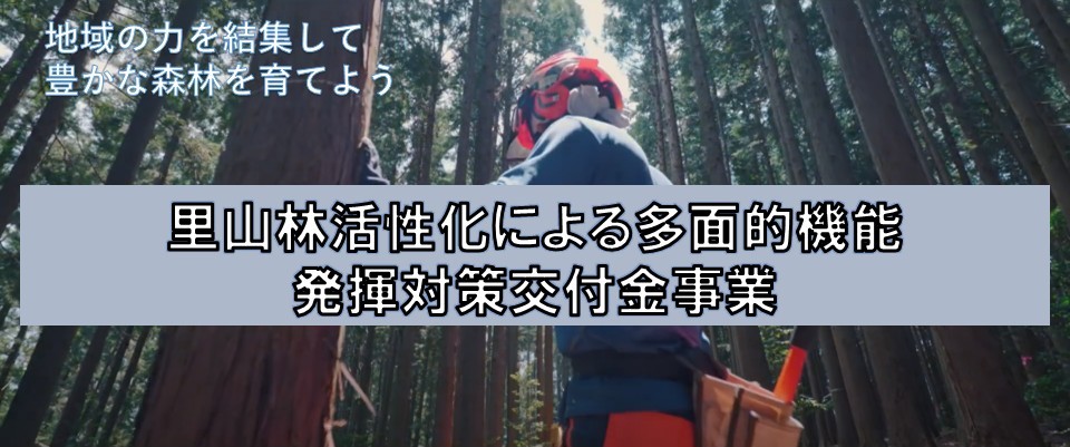 里山林活性化による多面的機能発揮対策