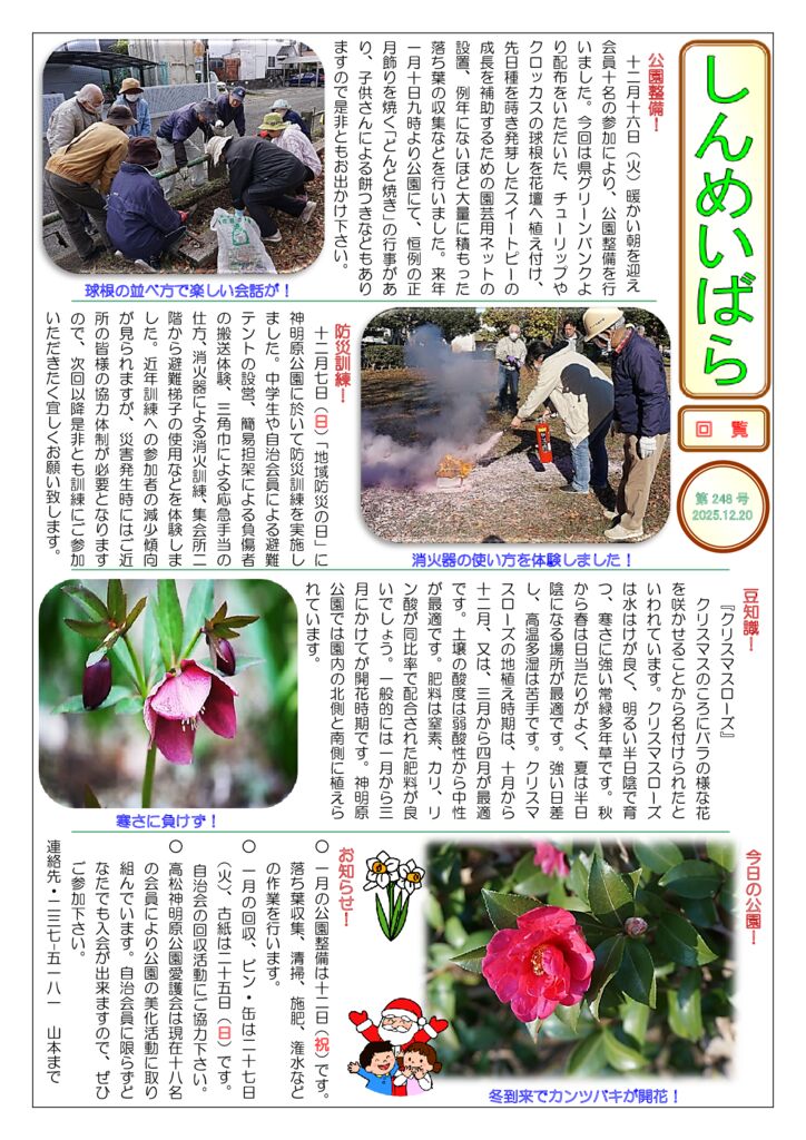 しんめいばら248号