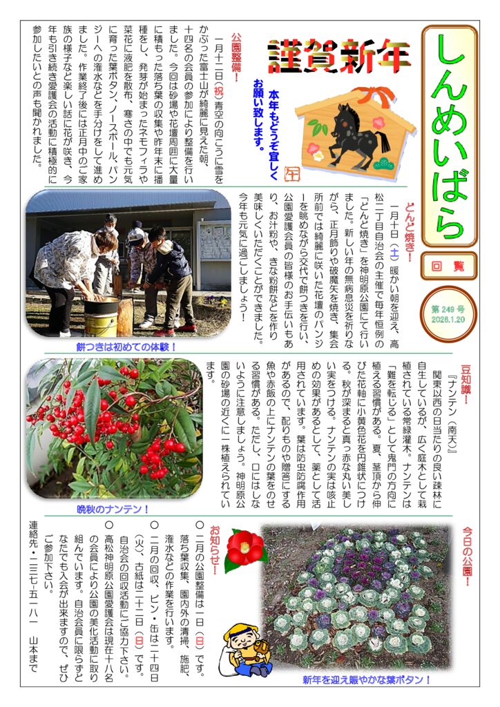 しんめいばら249号