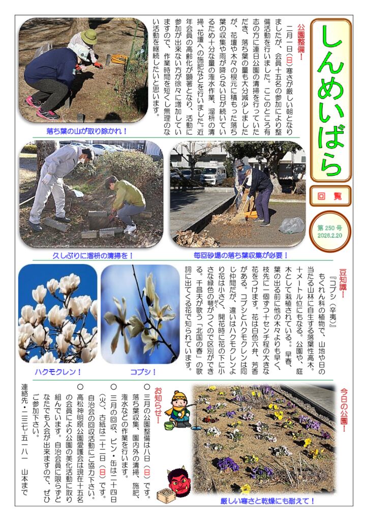 しんめいばら250号