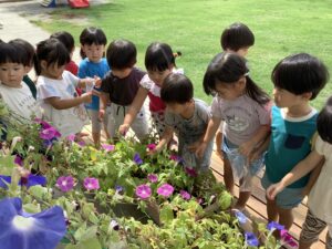 遊歩の丘にしおかこども園