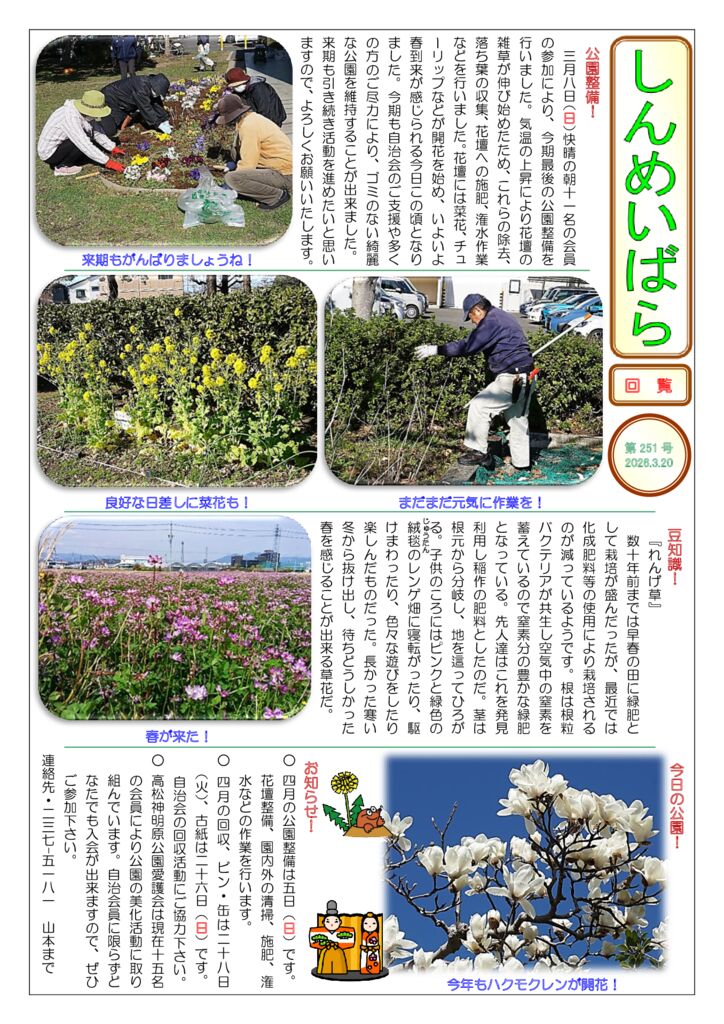 しんめいばら251号