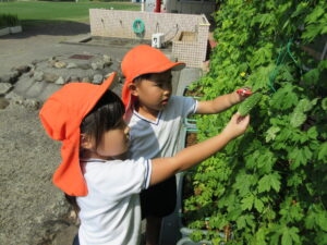 清水町立南幼稚園