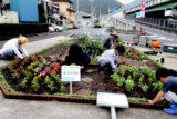 羽鳥1丁目ふれあい花壇の会 羽鳥1丁目ふれあい花壇の会